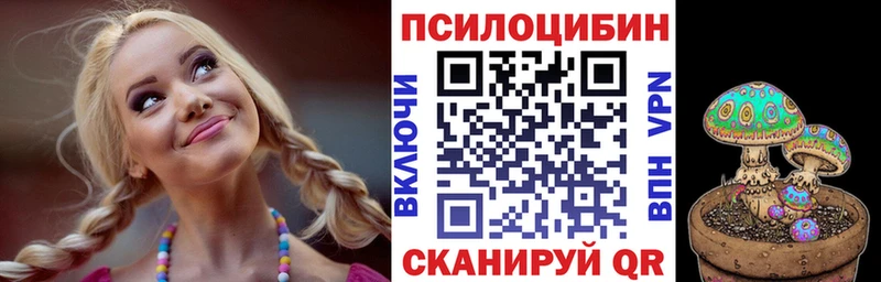 Псилоцибиновые грибы MAGIC MUSHROOMS мега сайт Светогорск